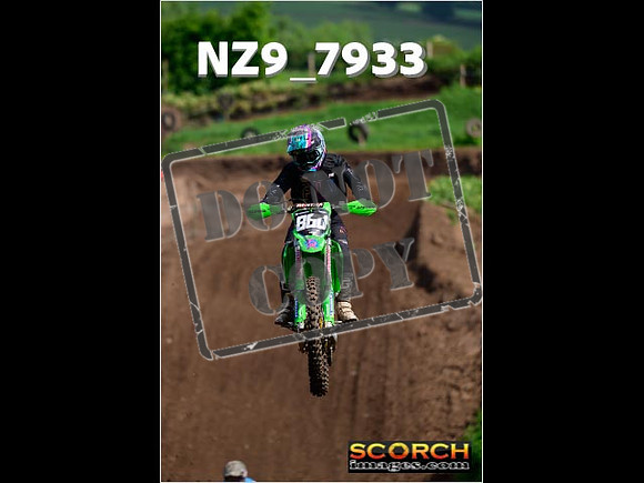 IntersGreenOrange-134