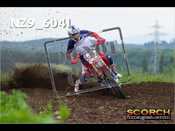 Experts-148