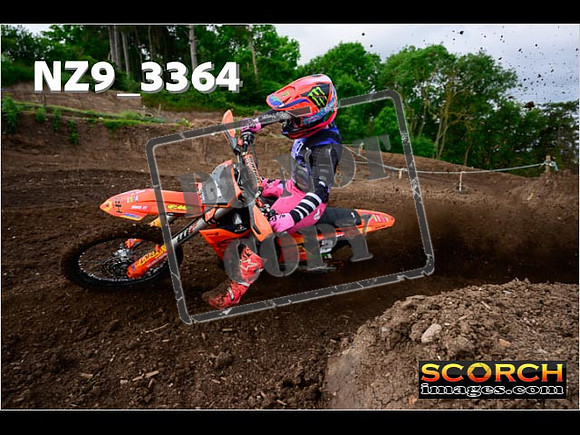 Experts-008