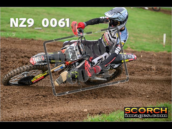 Novice-234