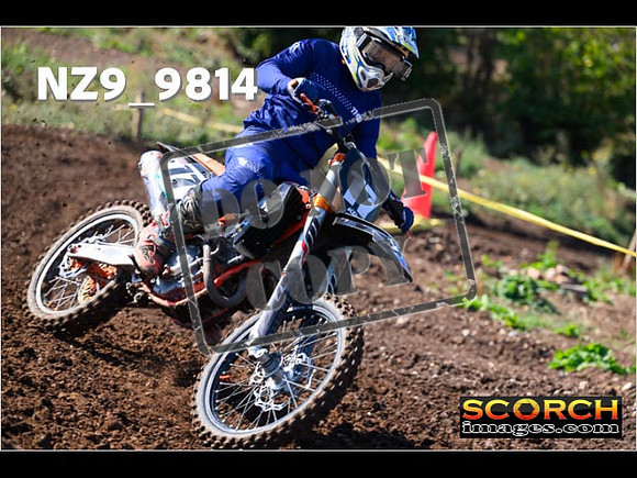 Experts-027