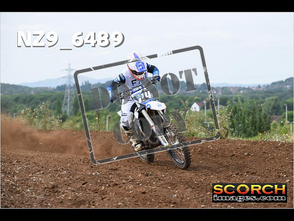 Experts-202
