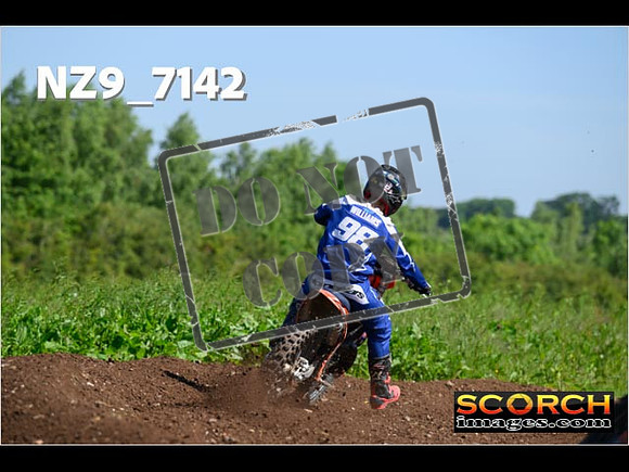 Experts-116