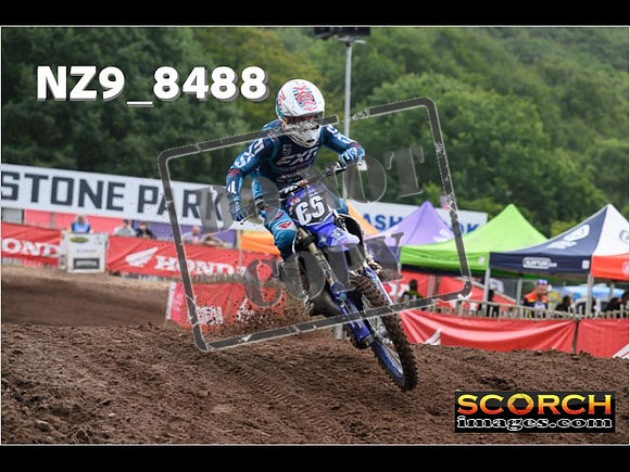 MX2-084
