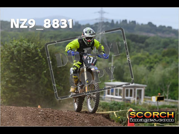 IntersGreen-091