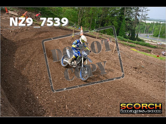 Experts-053