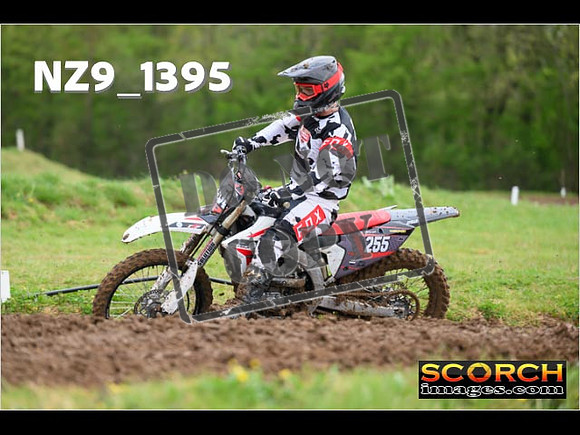 Experts-019