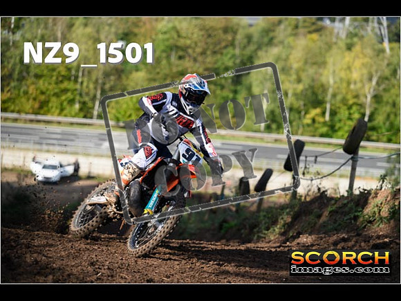 Experts-193