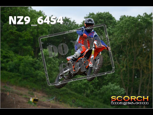 Experts-265
