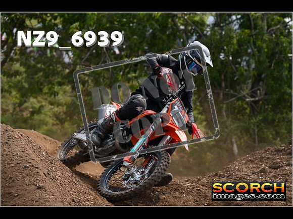 Experts-337