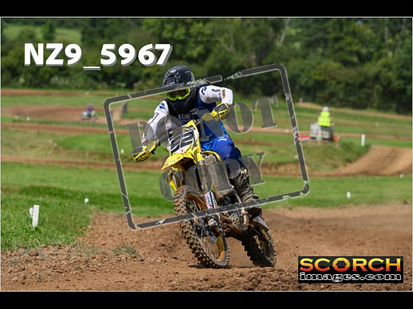 Experts-054