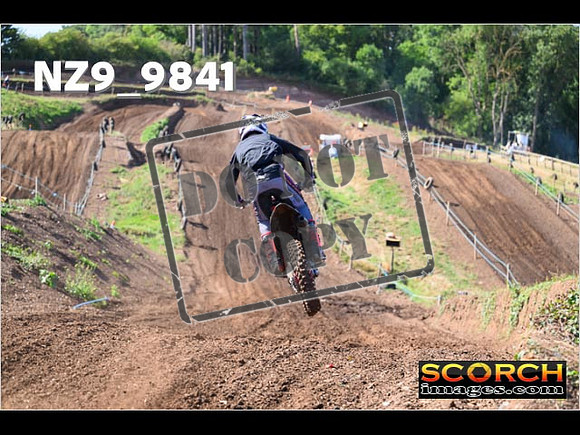 Experts-053