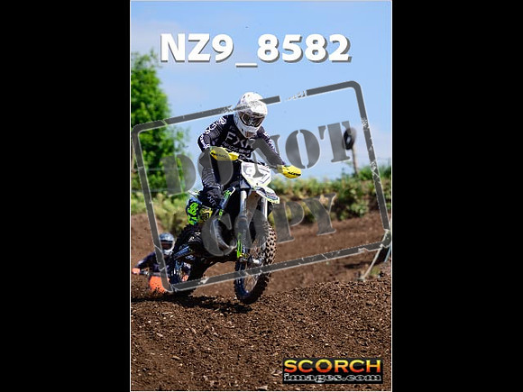 IntersGreenOrange-248