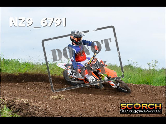 Experts-391