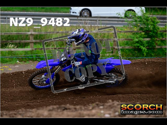 Experts-081