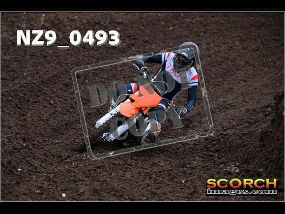 Experts-049