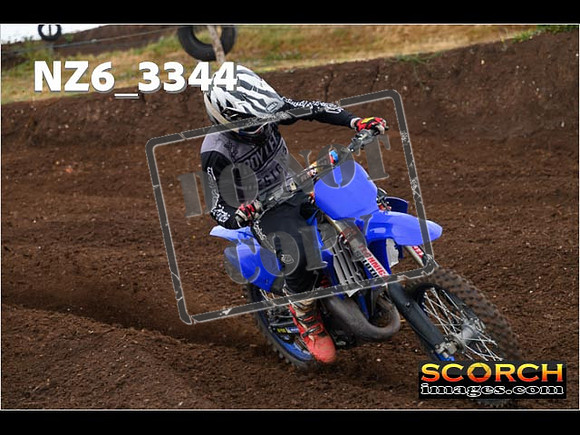 Experts-120