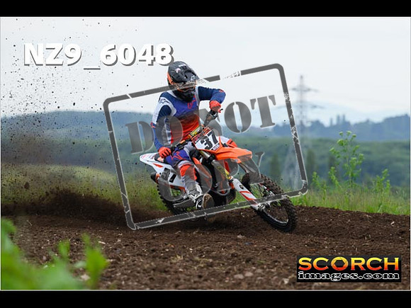 Experts-155