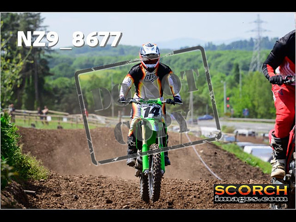 IntersGreenOrange-343