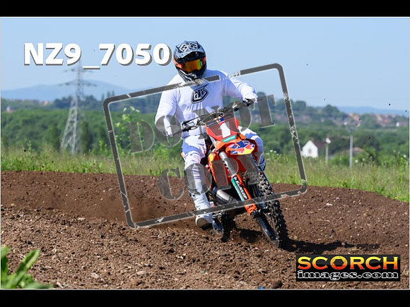 Experts-035