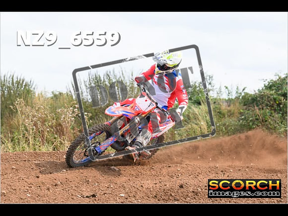 Experts-268