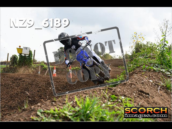 Experts-102
