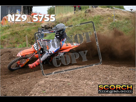 Experts-225