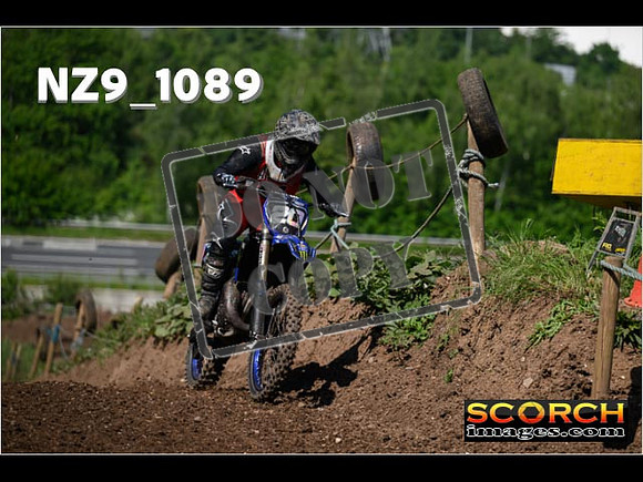 Experts-165