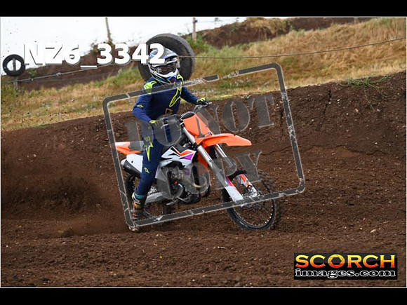 Experts-118