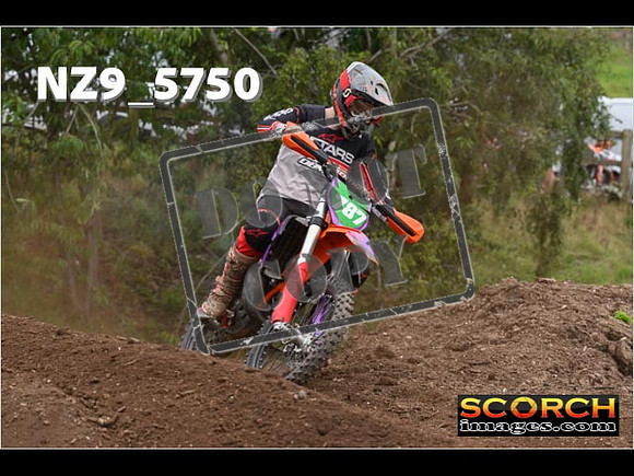 Experts-220