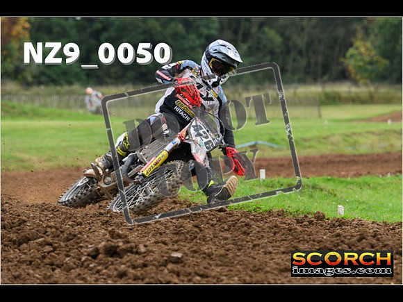 Novice-223