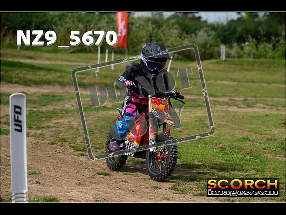 PeeWee Track-051
