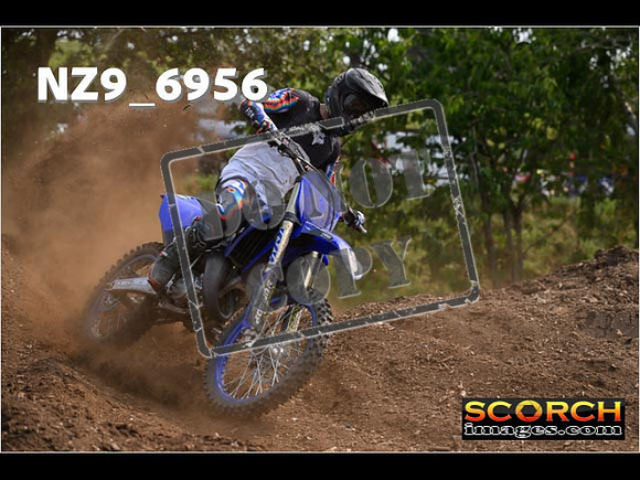 Experts-354