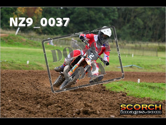 Novice-210