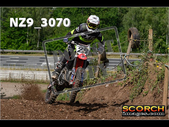 Experts-081