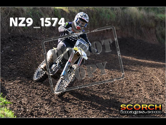 Experts-257