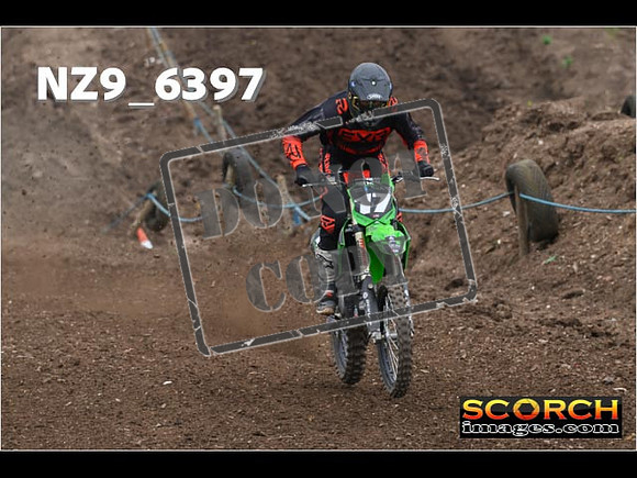 Experts-209