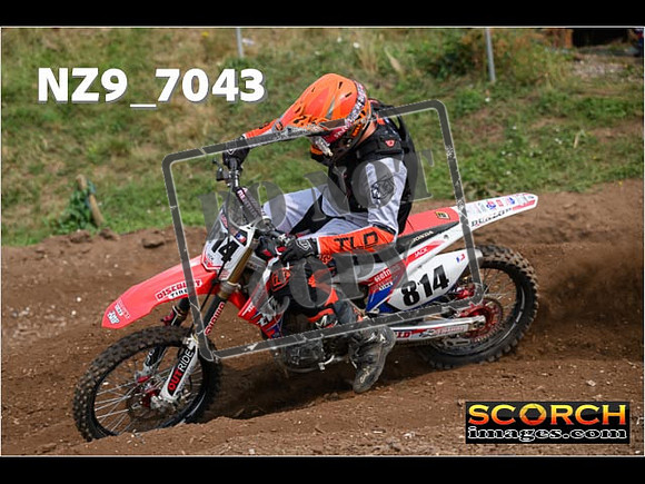 Experts-439