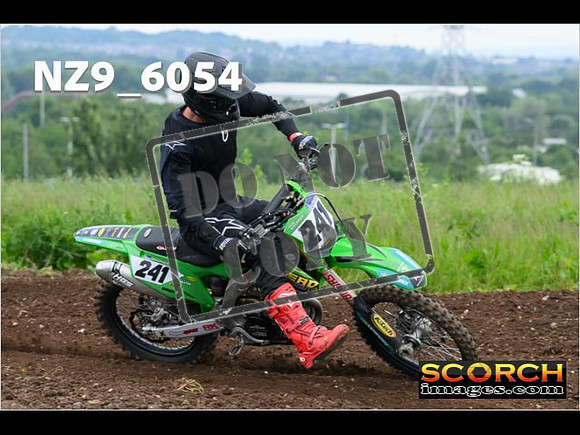 Experts-161