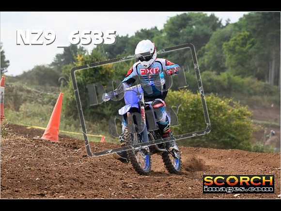 Experts-244