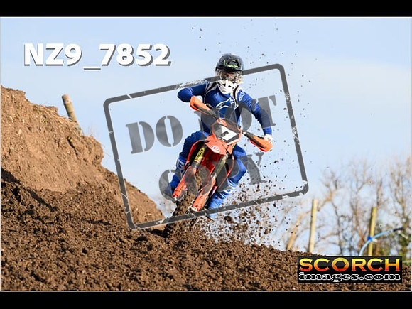 Experts-069