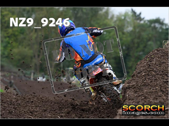 Experts-053