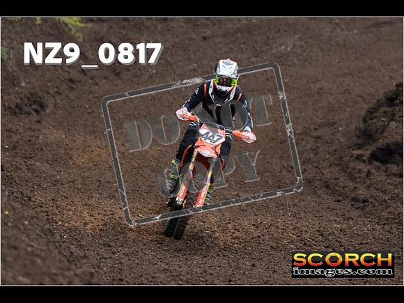 Experts-118