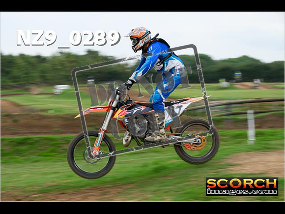 Novice-262