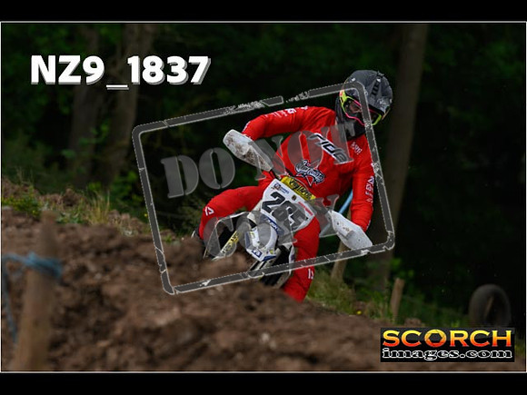 Experts-058