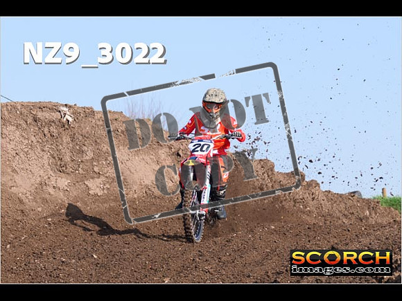 Experts-060