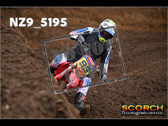 Experts-059