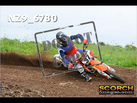 Experts-381
