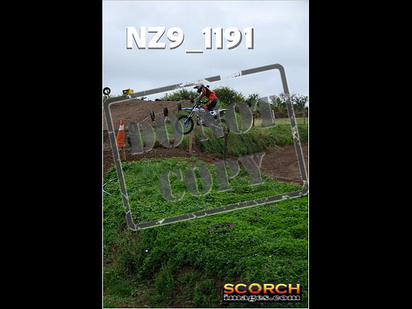 Experts-129