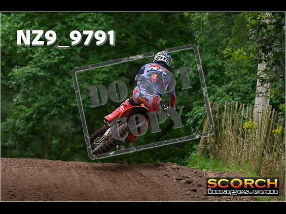 MX1-339
